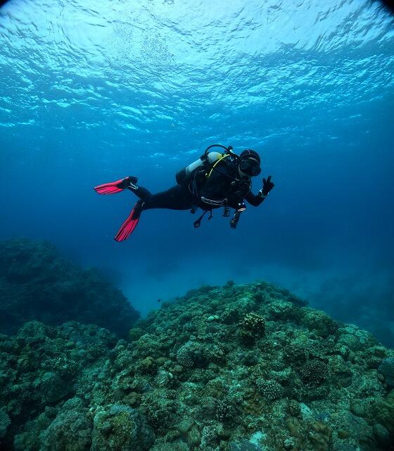 沖縄　ダイビング　慶良間　自社船