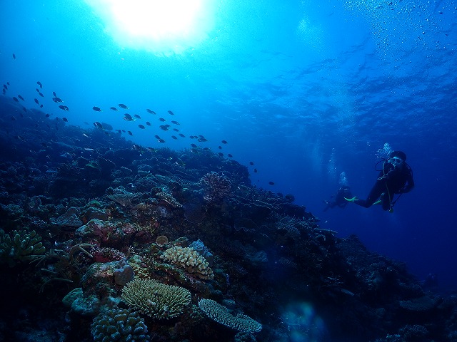 沖縄　ダイビング　慶良間　自社船