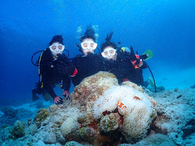 沖縄　ダイビング　慶良間　自社船