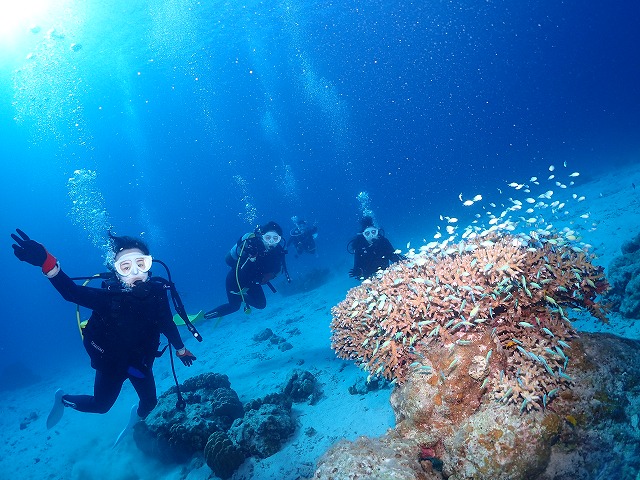 沖縄　ダイビング　慶良間　自社船