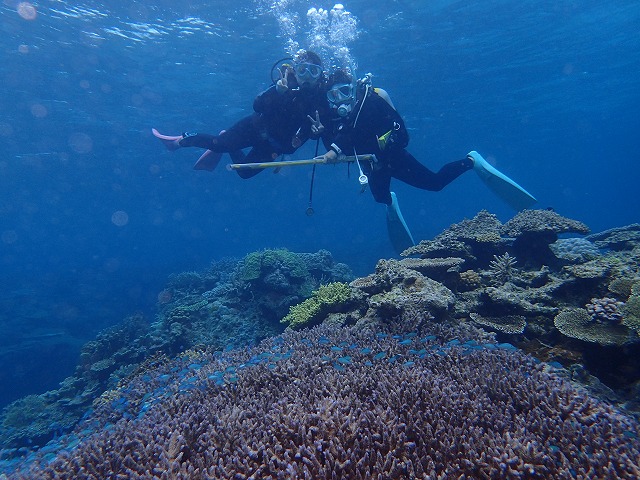沖縄　ダイビング　慶良間　自社船