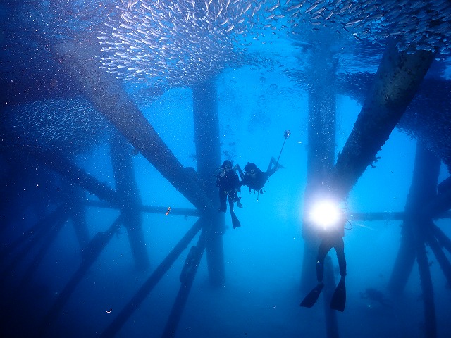 沖縄　ダイビング　ゴリチョ　北部