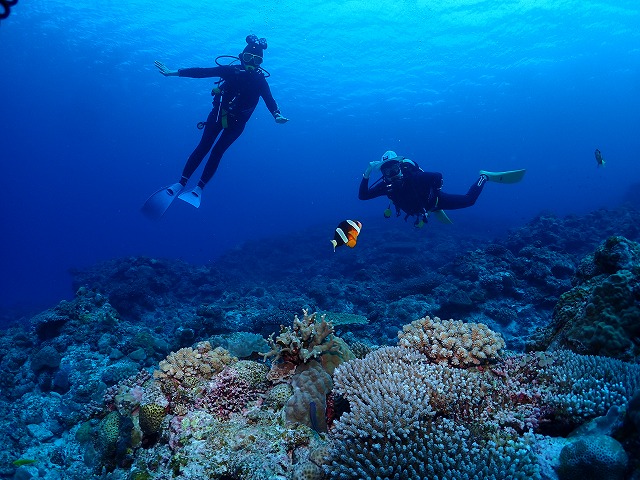 沖縄　ダイビング　慶良間　自社船