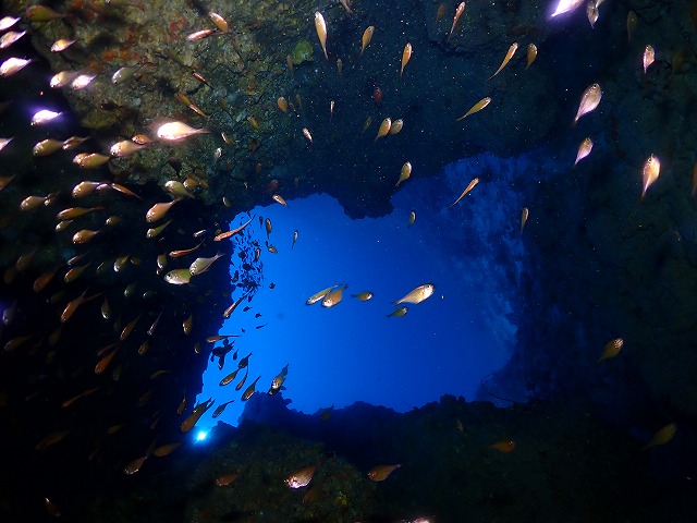 沖縄　ダイビング　万座　ボートダイビング