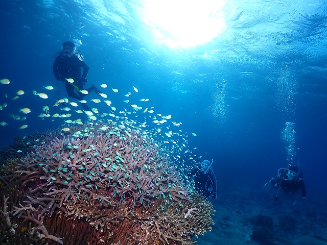 沖縄　ダイビング　慶良間　自社船