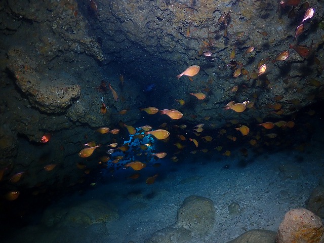 沖縄　ダイビング　慶良間　自社船