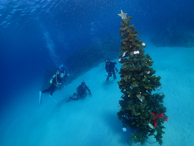 沖縄　ダイビング　ゴリチョ　ビーチダイビング