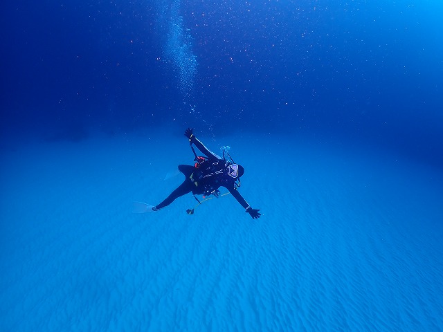 沖縄　ダイビング　慶良間　自社船