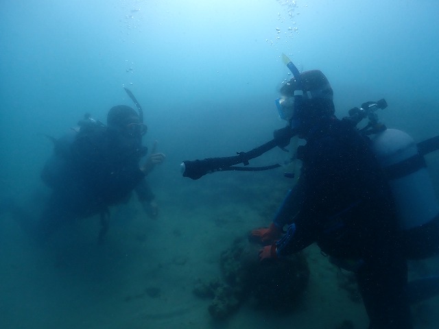 沖縄　ダイビング　ゴリチョ　北部