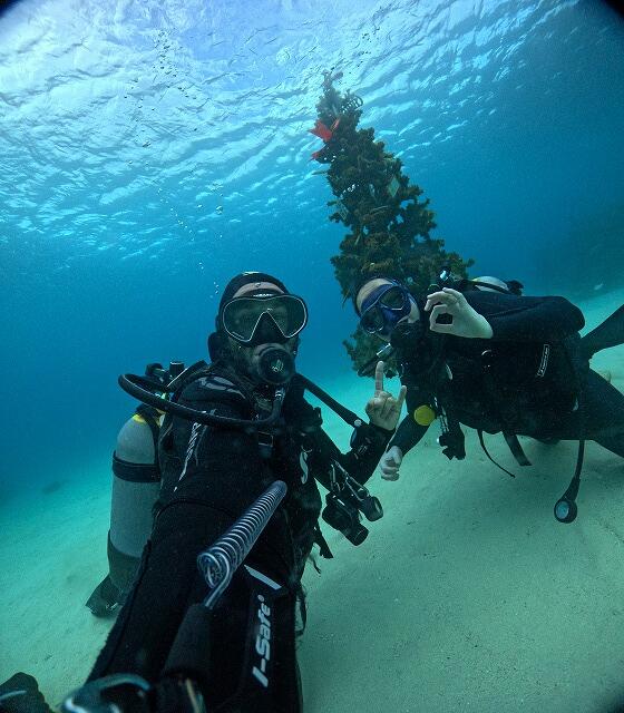 沖縄　ダイビング　ゴリチョ　北部