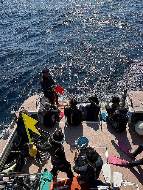 沖縄　ダイビング　ホエールスイム