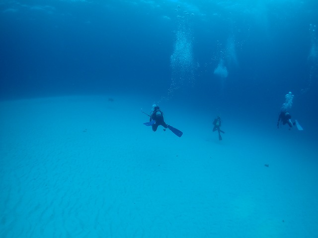 沖縄　ダイビング　慶良間　自社船