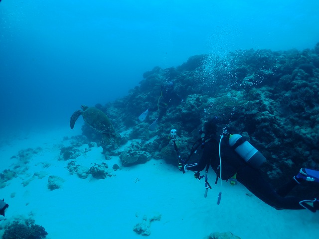 沖縄　ダイビング　慶良間　自社船