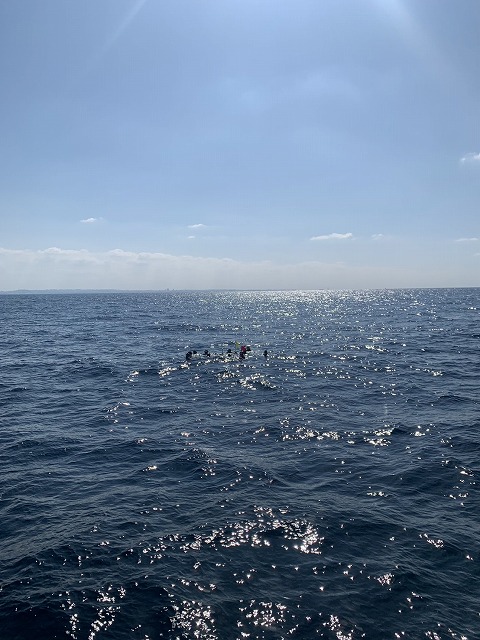 沖縄　ダイビング　ホエールスイム　自社船