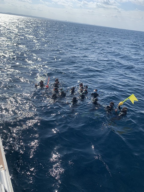 沖縄　ダイビング　ホエールスイム　自社船