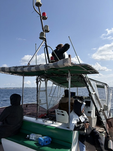 沖縄　ダイビング　ホエールスイム　中部