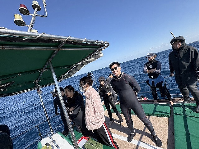 沖縄　ダイビング　ホエールスイム