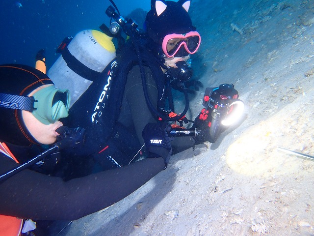 沖縄　ダイビング　ゴリチョ　北部