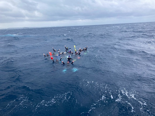 沖縄　ダイビング　ホエールスイム　自社船