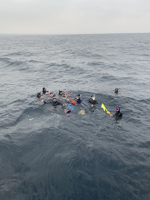 沖縄　ダイビング　ホエールスイム　自社船