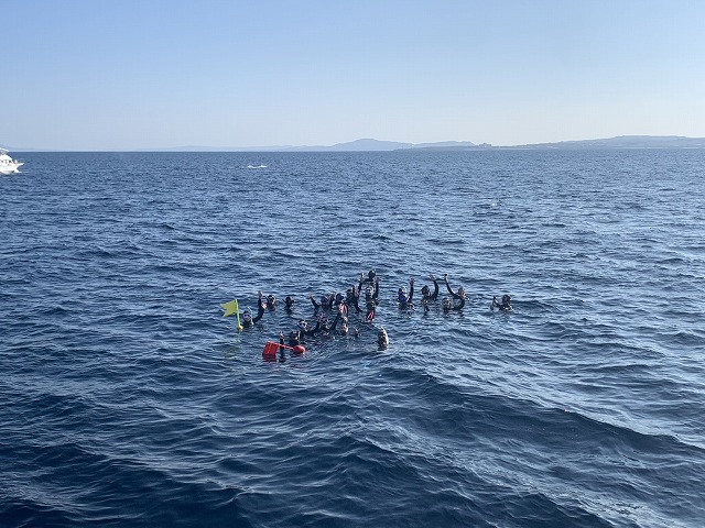 沖縄　ダイビング　ホエールスイム　自社船