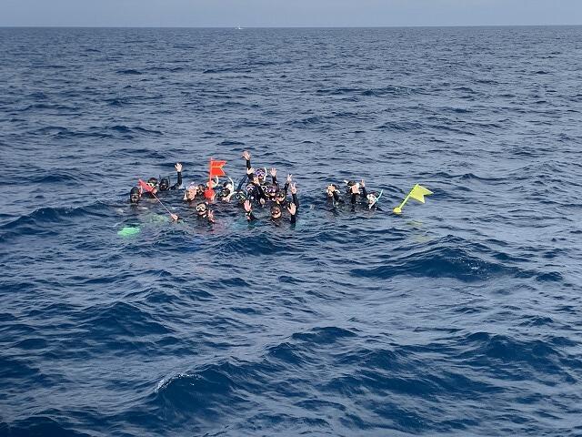 沖縄　ダイビング　ホエールスイム　自社船