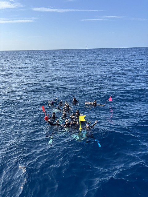 沖縄　ダイビング　ホエールスイム　自社船