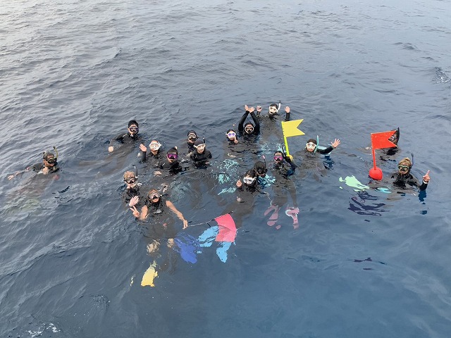 沖縄　ダイビング　ホエールスイム　自社船