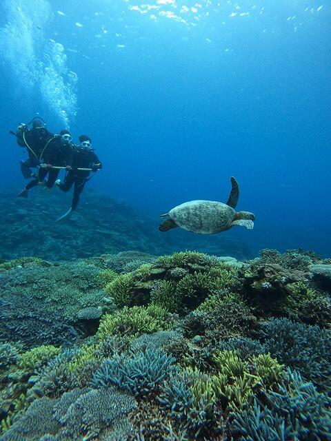 沖縄　ダイビング　慶良間　自社船