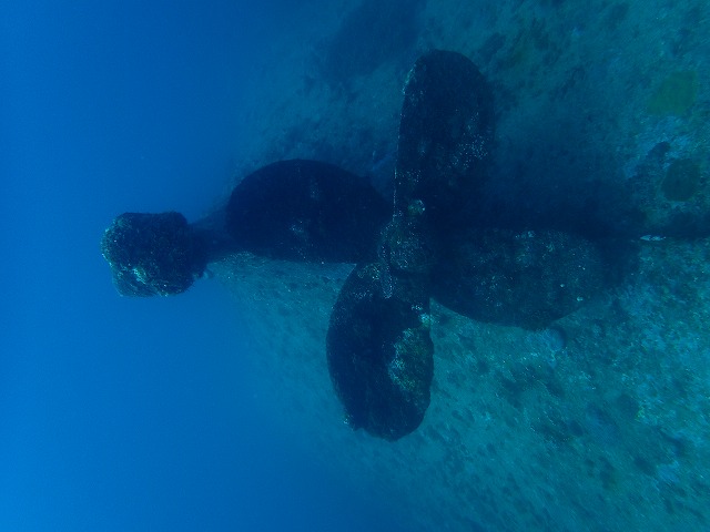 沖縄　ダイビング　慶良間　自社船