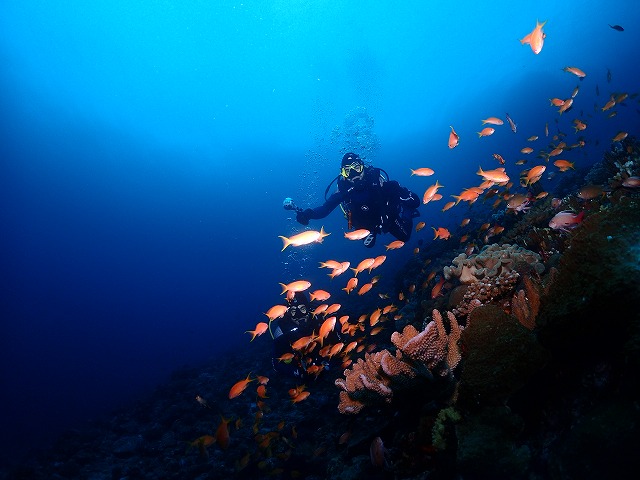 沖縄　ダイビング　慶良間　自社船