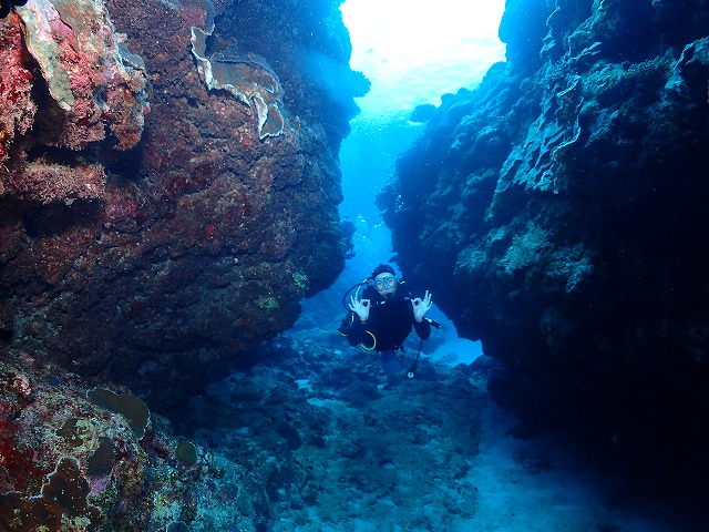 沖縄　ダイビング　慶良間　自社船