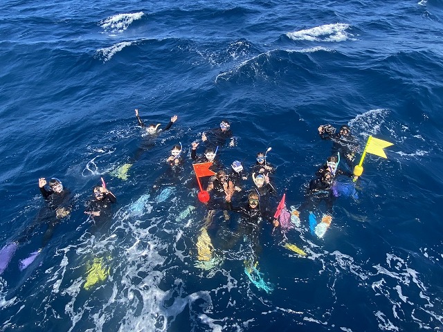 沖縄　ダイビング　ホエールスイム　自社船