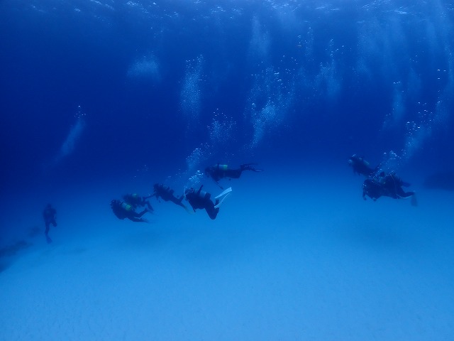 沖縄　ダイビング　慶良間　自社船