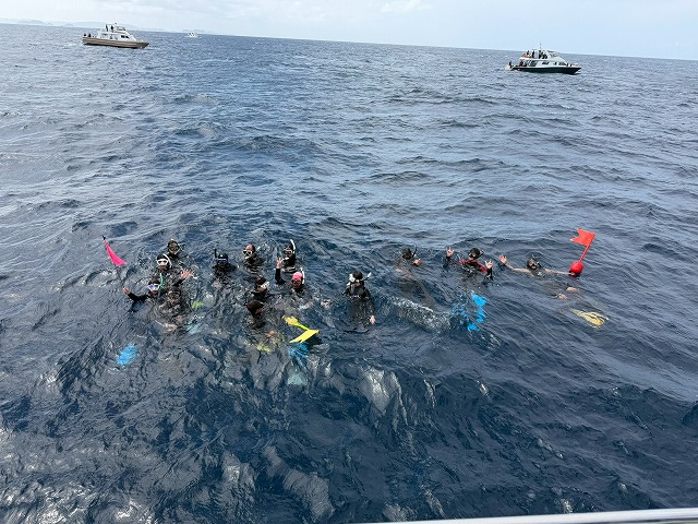 沖縄　ダイビング　ホエールスイム　自社船