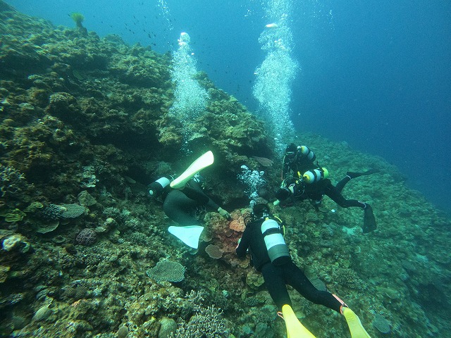 沖縄　ダイビング　慶良間　自社船