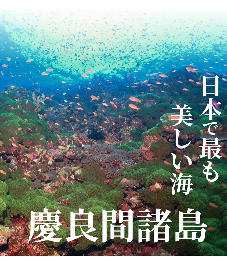日本で最も美しい海慶良間諸島
